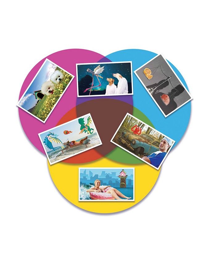 USAopoly VENN Game Macy's