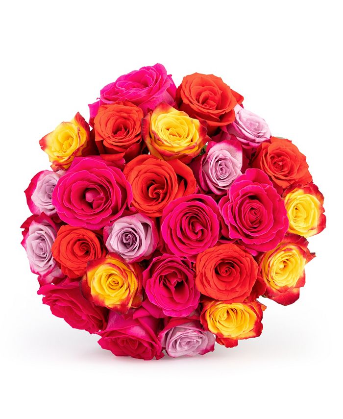 BloomsyBox Kaleidoscope Roses Fresh Flower Bouquet - Macy's