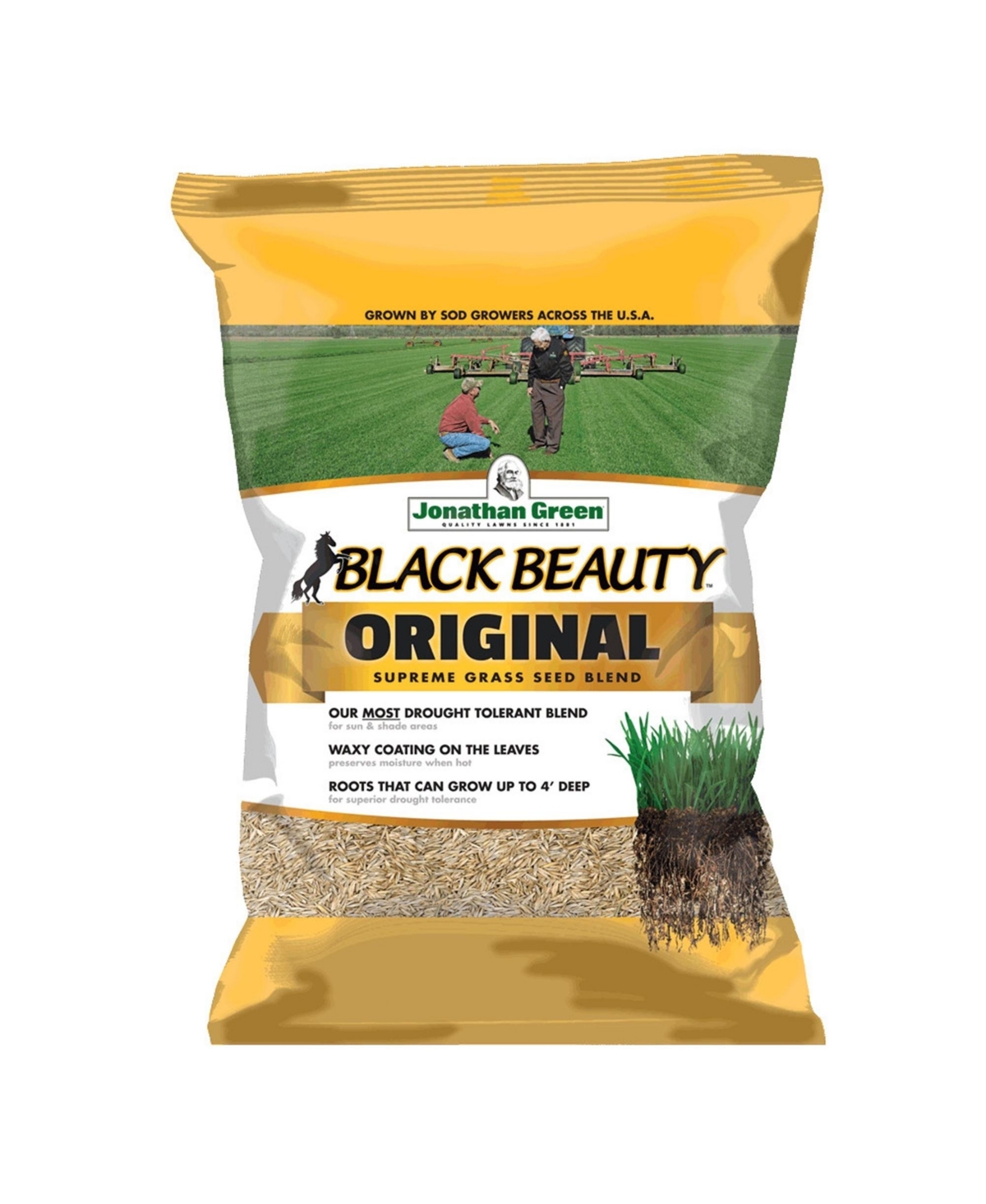 (#10317) Black Beauty Original Grass Seed, 15 lb bag - Brown
