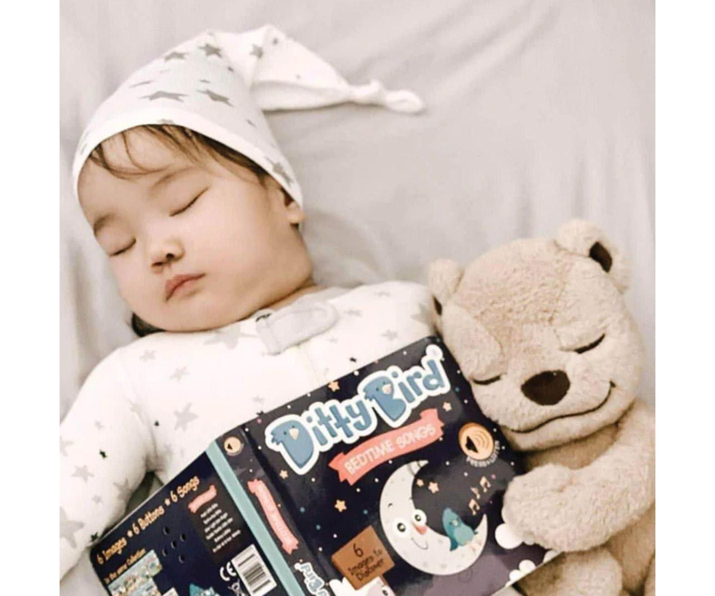 Детские игрушки Ditty Bird Bedtime and Nursery Rhyme Song Books - Set of 2 — фото 8