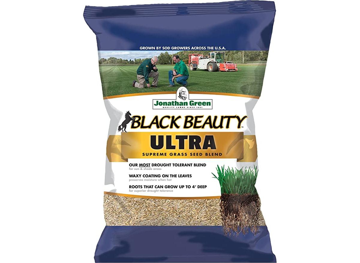 Black Beauty Ultra Grass Seed Mix, 50 lb bag - Blue