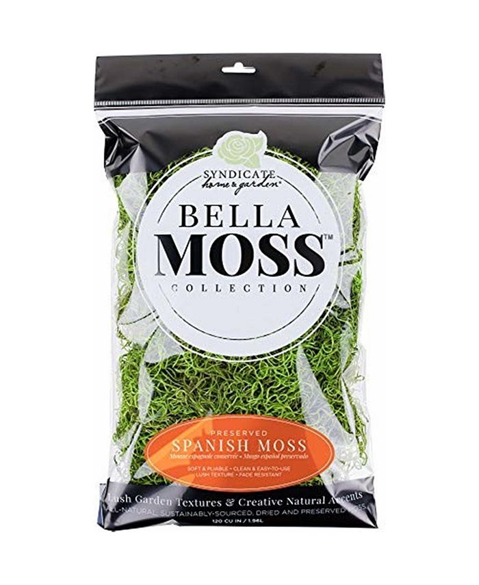 Bella Moss Preserved Spanish Moss, Green Macy's