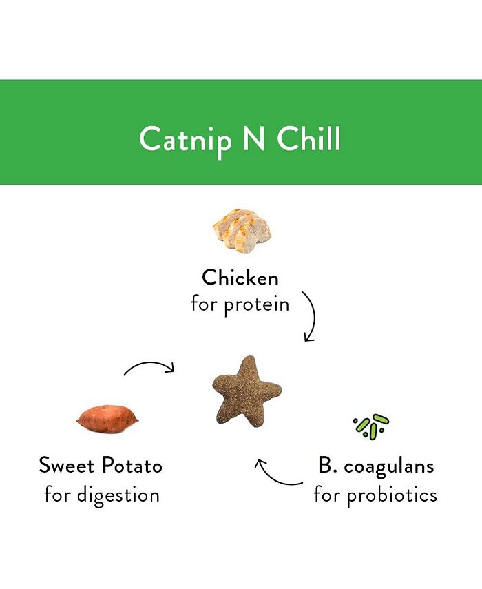 Shameless Pets Catnip Treats Crunchy Cat Calming Treats with