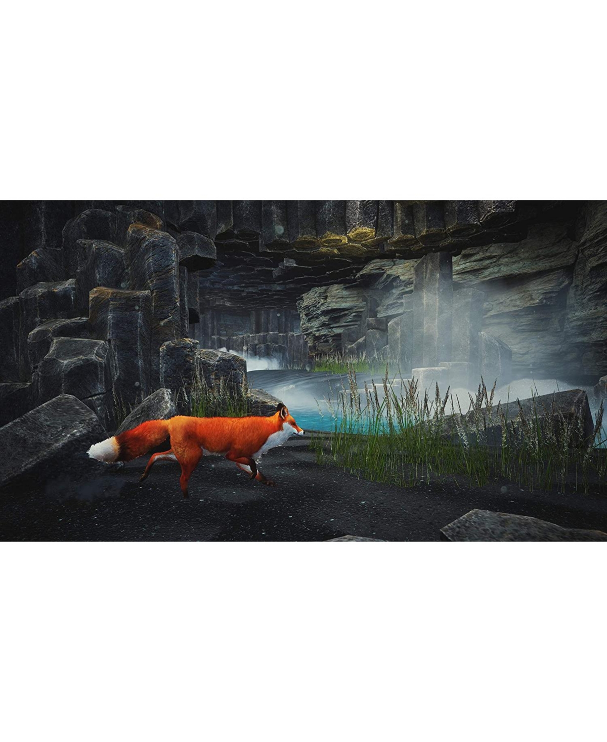 Spirit of The North - PlayStation 5