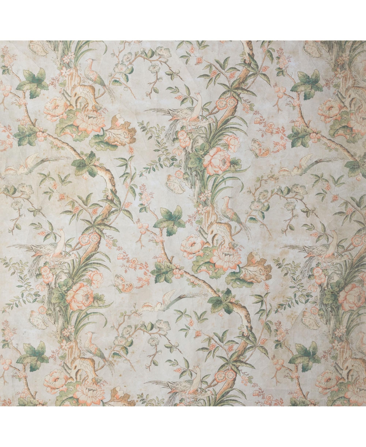 Park Hill Collection Blossom Vine Pattern Wallpaper