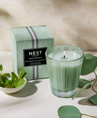 Wild Mint & Eucalyptus Classic Candle, 8.1 oz.