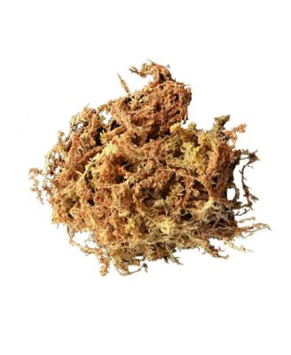 0110 Long Fibered Sphagnum Moss- 432 cu in