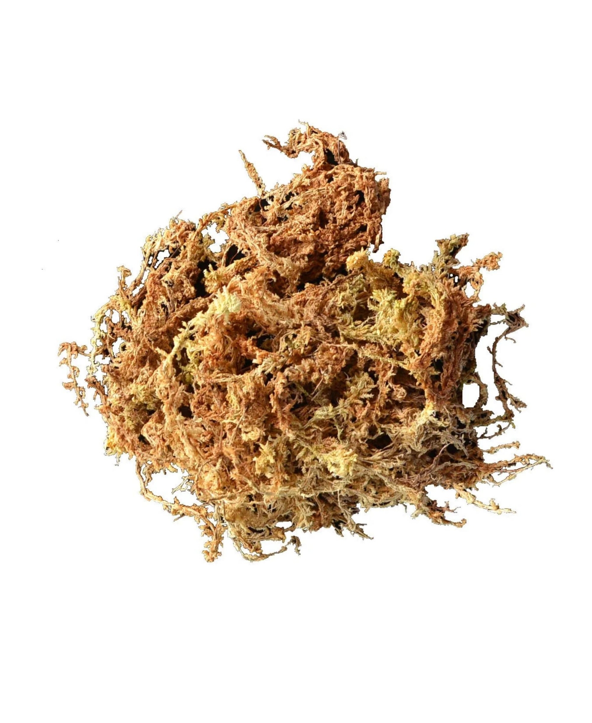 Mosser Lee 0110 Long Fibered Sphagnum Moss- 432 cu in