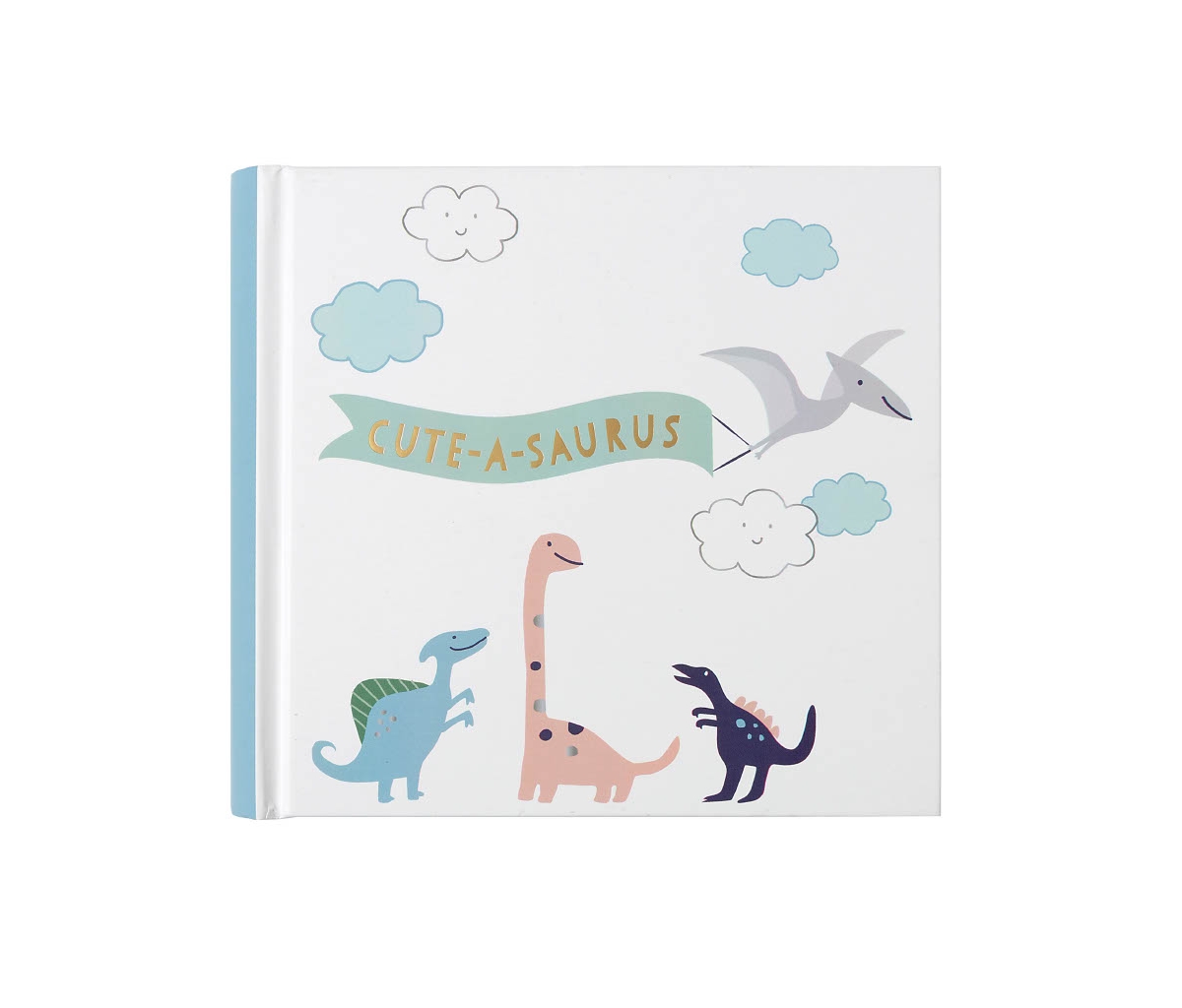 Carter's For Cr Gibson Baby Boys Dinosaur Baby First Photo Album In Multi