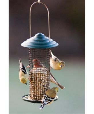 Metal Mini Magnum Black Oil Sunflower Screen Feeder