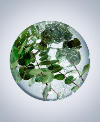 Concentrated Brightening Serum