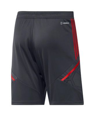 Men's Gray Bayern Munich Training AEROREADY Shorts