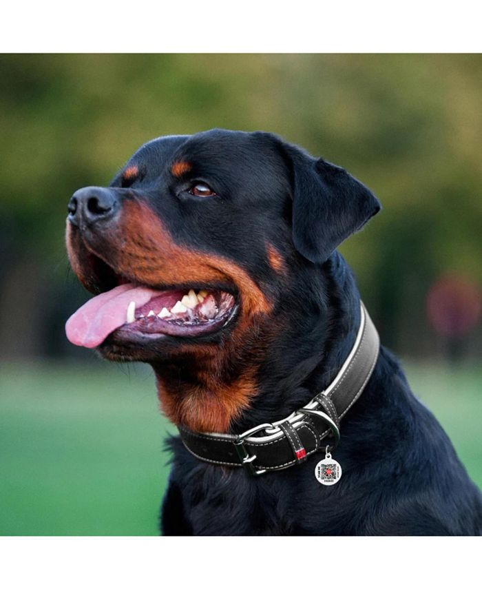 Waudog Soft genuine leather dog collar with QR passport Macy's
