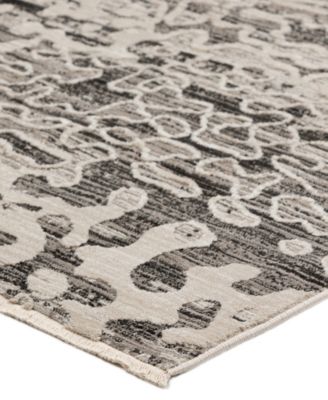Denizi DZ6 3'3" x 5'3" Area Rug