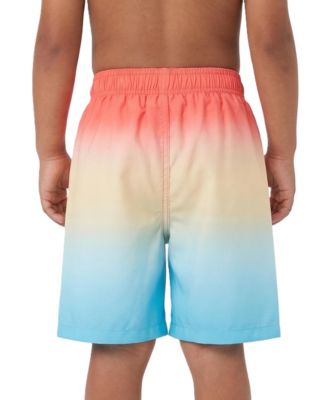 Toddler Boys Swim Trunks with Mesh Liner UPF 50+