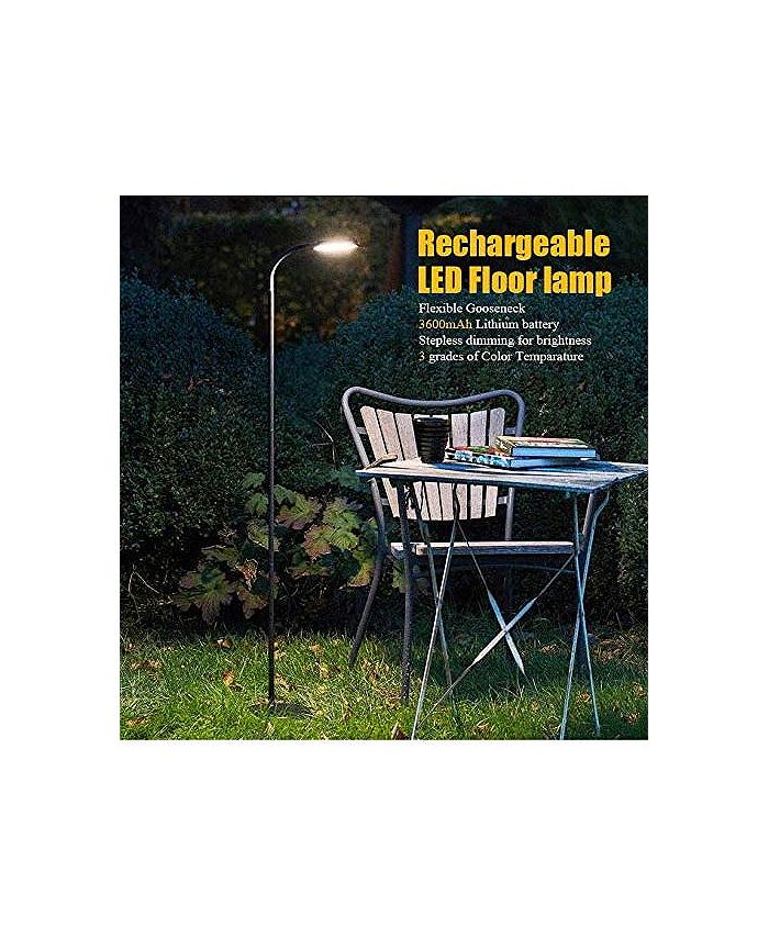 LIGHTACCENTS Lumos Led Floor Lamp Rechargeable Battery Operated