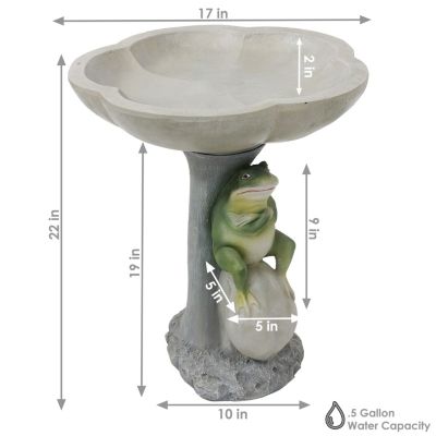 Brooding Frog on a Stone 22-Inch H Polyresin Bird Bath