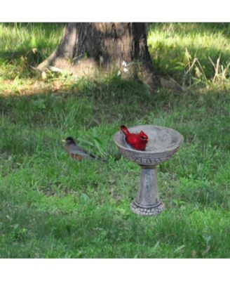 Garden Miniature Cardinal Birdbath