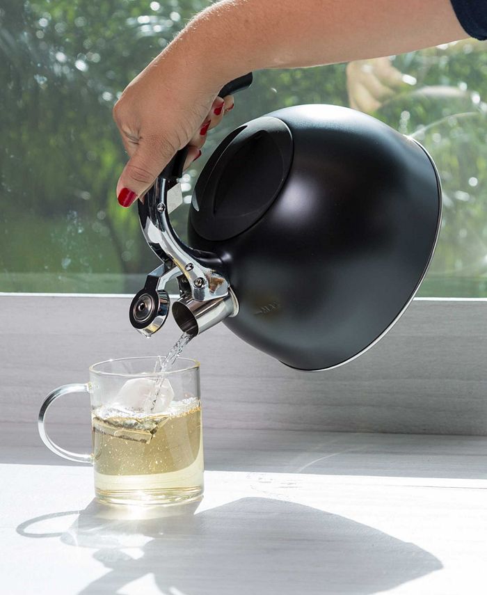 Primula Stainless Steel 3 Quart Tea Kettle with Soft Grip Silicone