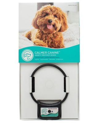 Assisi Animal Health