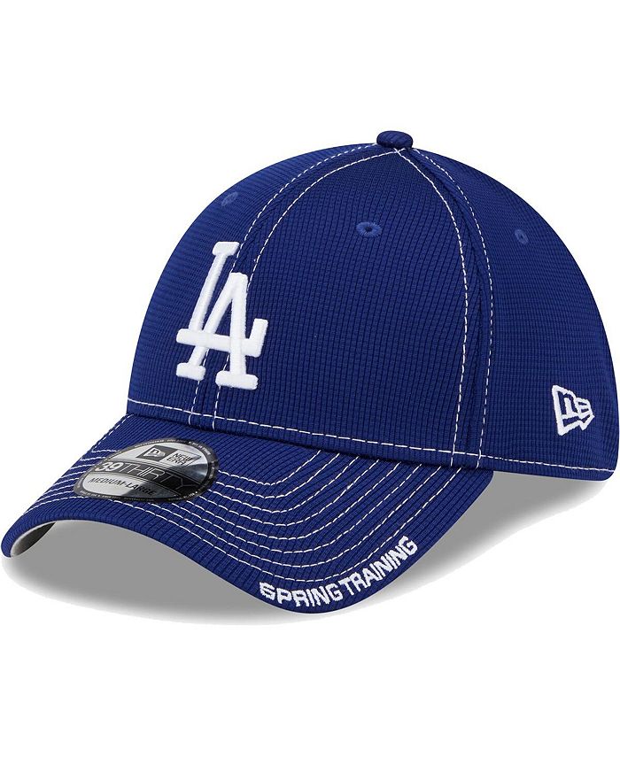 New Era Men's Royal Los Angeles Dodgers 2023 Spring Training Mesh