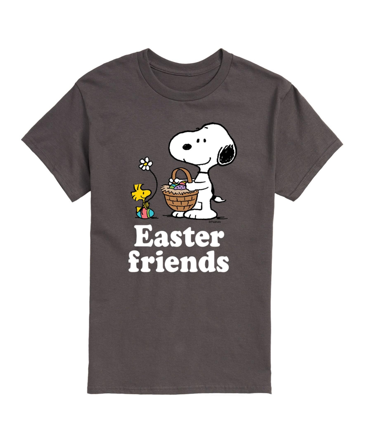 Airwaves Men's Peanuts Easter Friends T-shirt In Gray