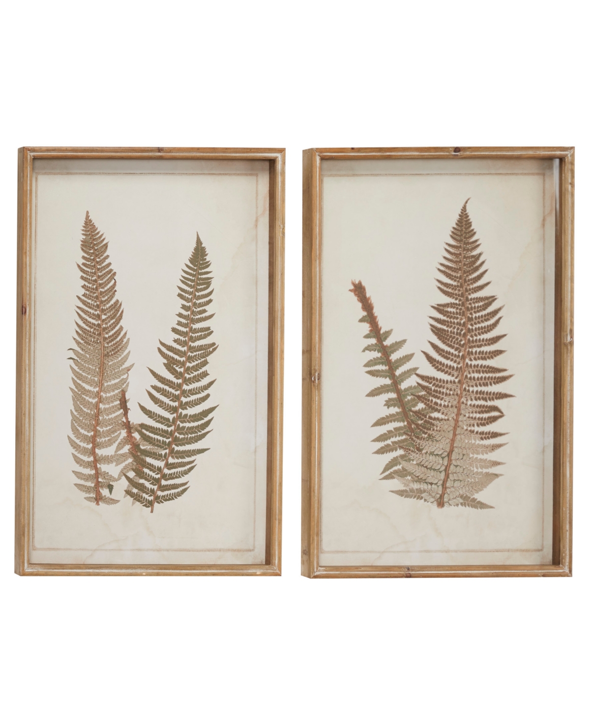 Rosemary Lane Wood Fern Leaf Framed Wall Art With White Backing Set Of 2, 19" X 25" In Brown
