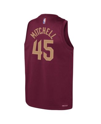 Big Boys and Girls Donovan Mitchell Wine Cleveland Cavaliers 2022/23 Swingman Jersey - Icon Edition