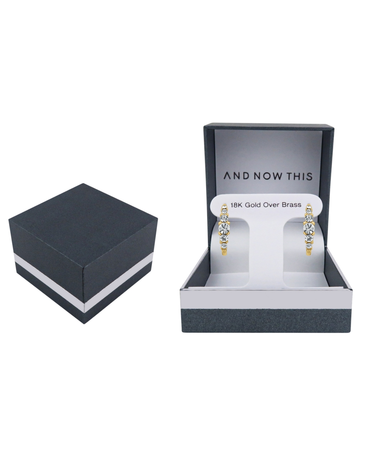 And Now This Crystal 18K Gold Plated Hoop Earring