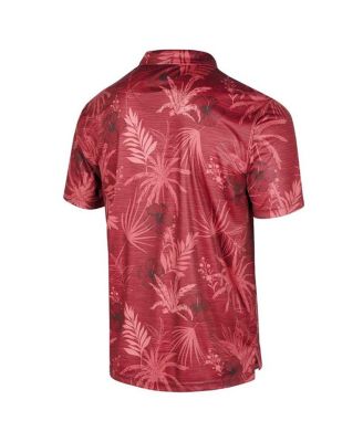Men's Cardinal Arkansas Razorbacks Big and Tall Palms Polo Shirt