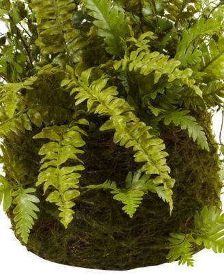 Mixed Fern with Twig & Moss Basket