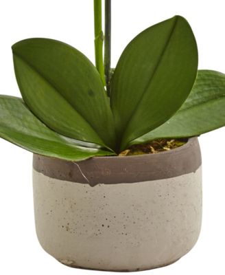 Artificial Phalaenopsis Orchid in Ceramic Pot