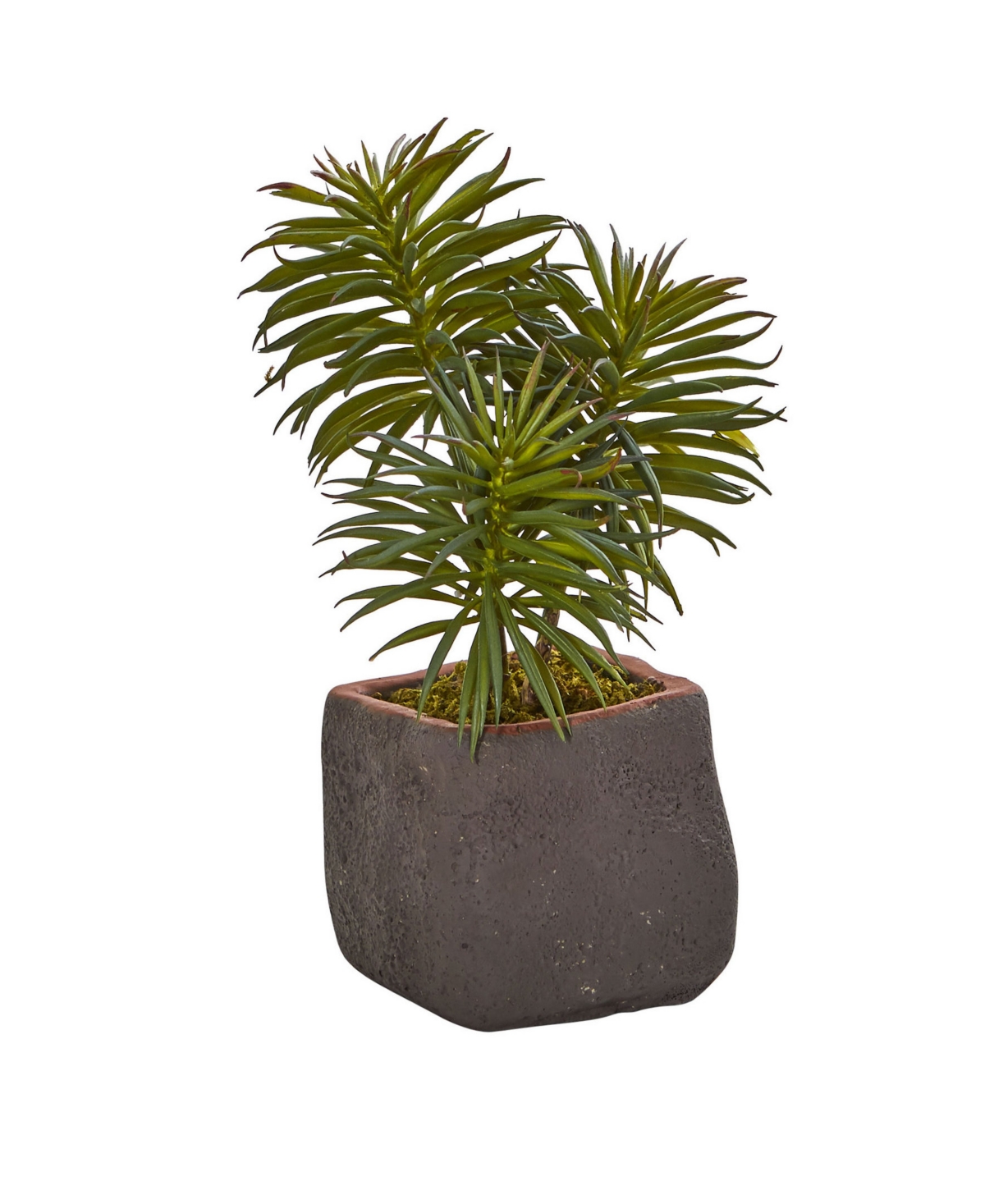 Shop Nearly Natural Trio Of Artificial Succulent Plants, Set Of 3 In Green,brown