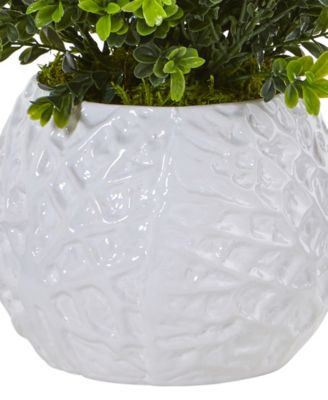 Boxwood Evergreen Indoor/Outdoor Artificial Plant in White Vase