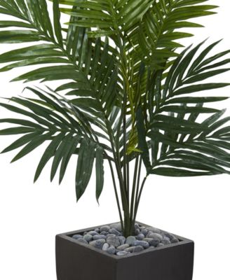 4.5' Kentia Palm Artificial Tree in Black-Washed Planter