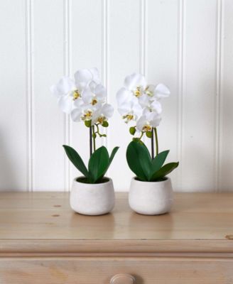 Phalaenopsis Orchid Artificial Arrangement (Set of 2)