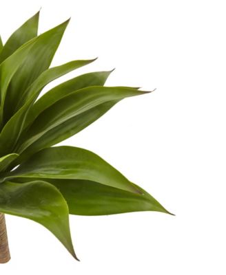 32" Agave Plant w/ Stem