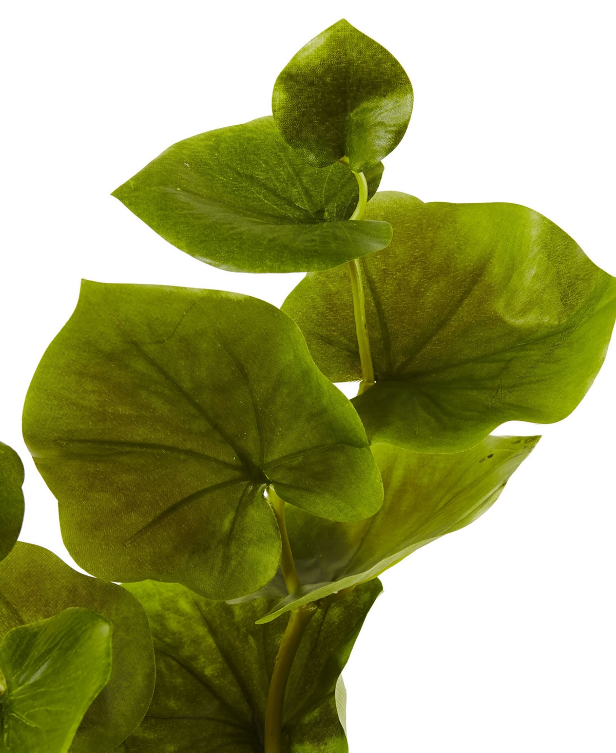 Nearly Natural 29-in. Lotus Artificial Leaf, Set Of 12 In Green
