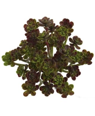 7" Sedum Succulent Artificial Plant, Set of 8