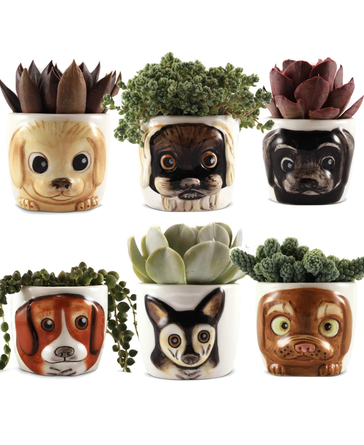Cat Planter Pot - 6 Mini Succulent Kitty Pots - Cute Flower Pots for Indoor Plants - Cat Decor Vase for Cactus, Herb - Cat, Cat Owner Gi