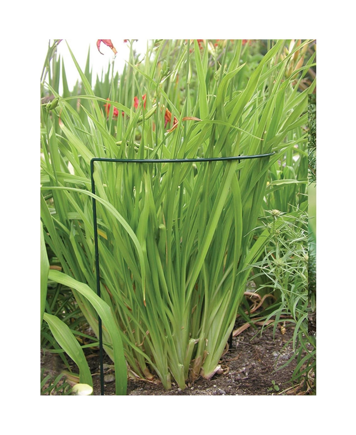 Luster Leaf 1045 Link-Ups Plant Support, Green Vinyl, 15 x 30-In.