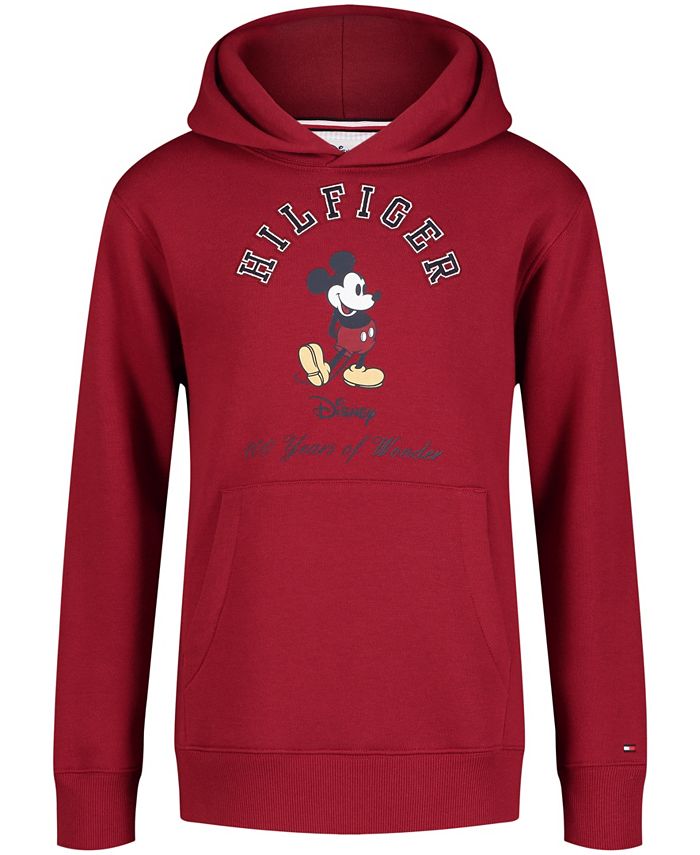 Tommy hilfiger hot sale toddler hoodie
