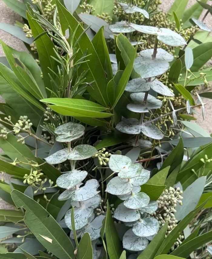 GreenishBlu Fresh Real Garland Eucalyptus Bayleaf and Rosemary Spring