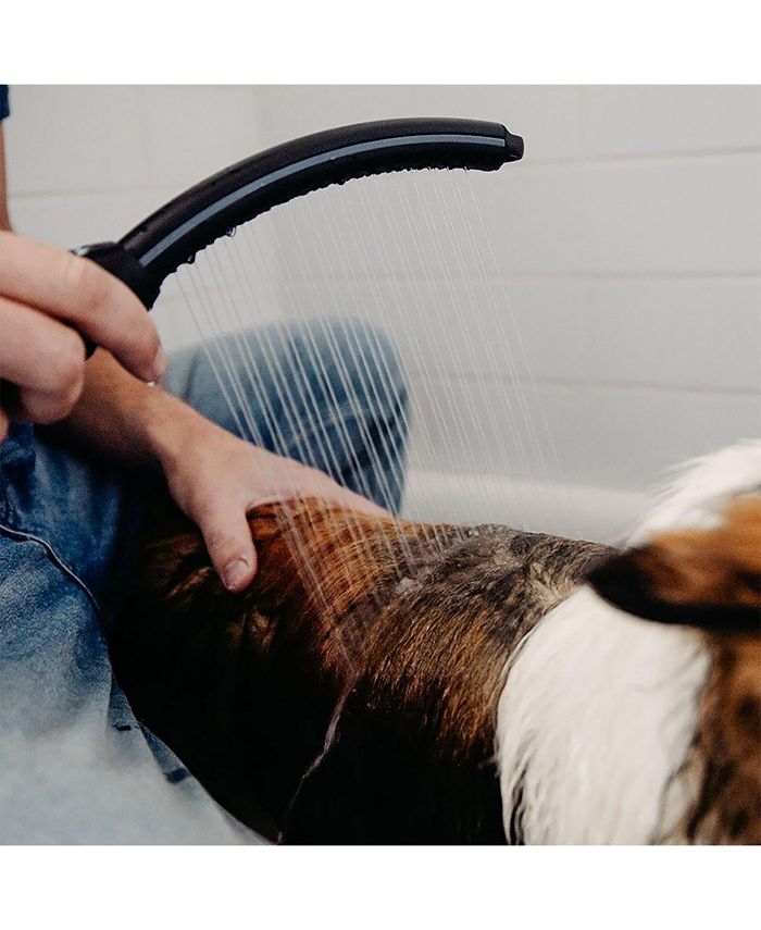 Waterpik Pet Wand Pro Macy's