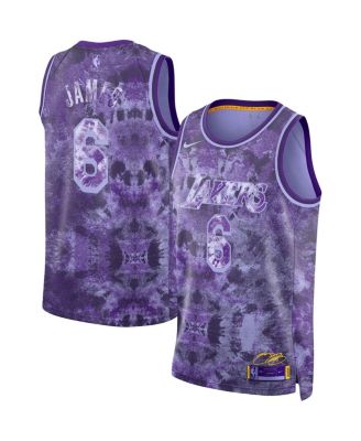 Men s and Women s LeBron James Purple Los Angeles Lakers Select Series Swingman Jersey