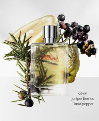  Terre d'Hermès Eau Givrée Eau de Parfum Spray, 3.3 oz.