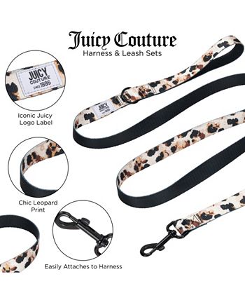 Juicy couture hotsell dog collar