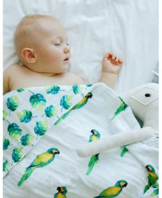 Certified Organic Muslin Four-Layer Reversible All Season Snug Blanket, Parrot