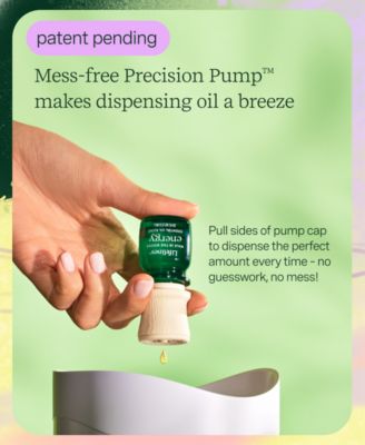 Essential Oil Blends- Walk in The Woods, 4 Pack