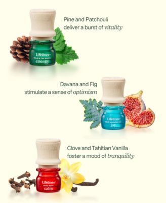 Essential Oil Blend Discovery, Set - 5 Pack